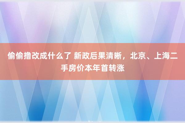 偷偷撸改成什么了 新政后果清晰，北京、上海二手房价本年首转涨