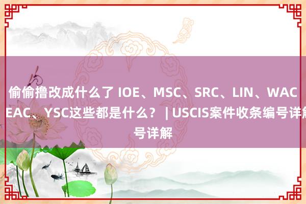 偷偷撸改成什么了 IOE、MSC、SRC、LIN、WAC、EAC、YSC这些都是什么？ | USCIS案件收条编号详解