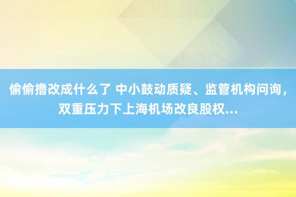 偷偷撸改成什么了 中小鼓动质疑、监管机构问询，双重压力下上海机场改良股权...