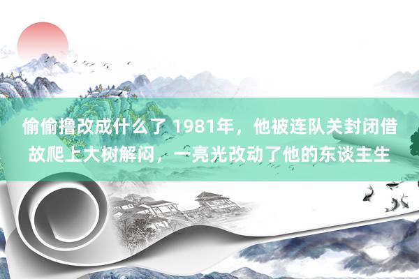 偷偷撸改成什么了 1981年，他被连队关封闭借故爬上大树解闷，一亮光改动了他的东谈主生