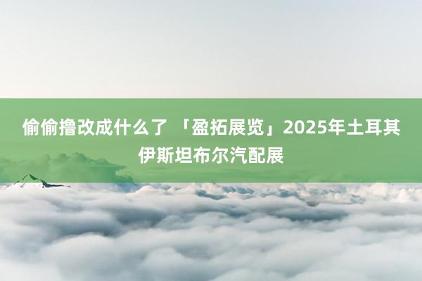 偷偷撸改成什么了 「盈拓展览」2025年土耳其伊斯坦布尔汽配展