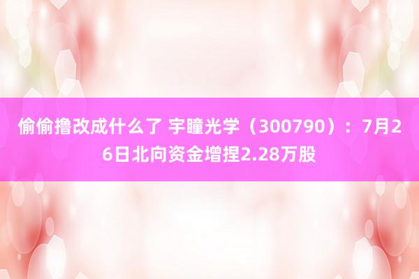 偷偷撸改成什么了 宇瞳光学（300790）：7月26日北向资金增捏2.28万股