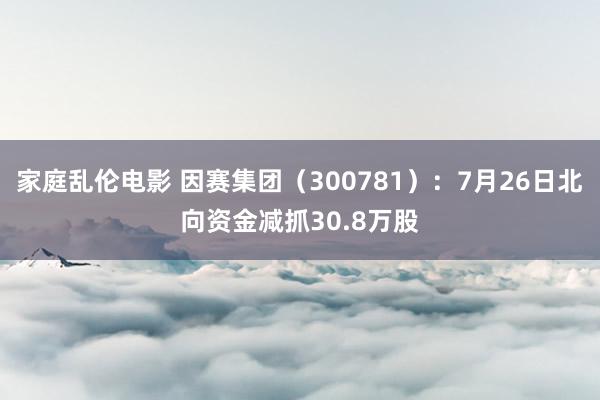 家庭乱伦电影 因赛集团（300781）：7月26日北向资金减抓30.8万股