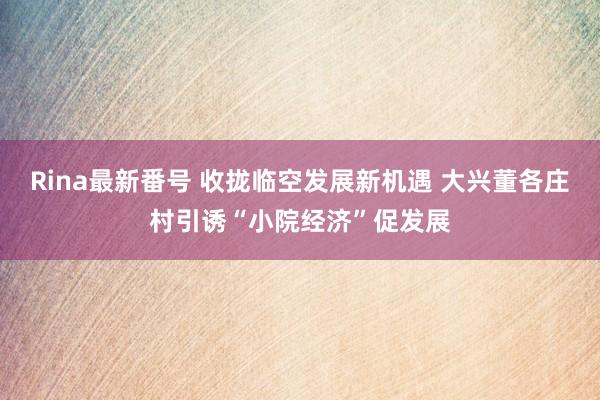 Rina最新番号 收拢临空发展新机遇 大兴董各庄村引诱“小院经济”促发展