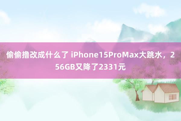 偷偷撸改成什么了 iPhone15ProMax大跳水，256GB又降了2331元