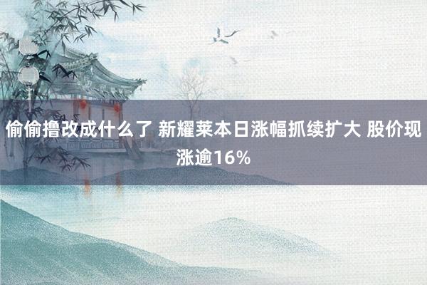 偷偷撸改成什么了 新耀莱本日涨幅抓续扩大 股价现涨逾16%