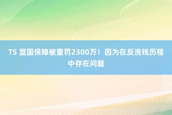 TS 盟国保障被重罚2300万！因为在反洗钱历程中存在问题