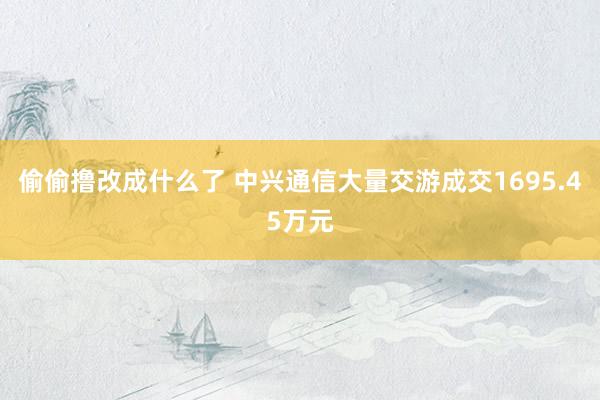 偷偷撸改成什么了 中兴通信大量交游成交1695.45万元