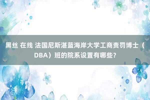 黑丝 在线 法国尼斯湛蓝海岸大学工商责罚博士（DBA）班的院系设置有哪些？