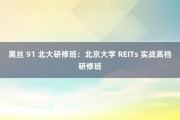 黑丝 91 北大研修班：北京大学 REITs 实战高档研修班