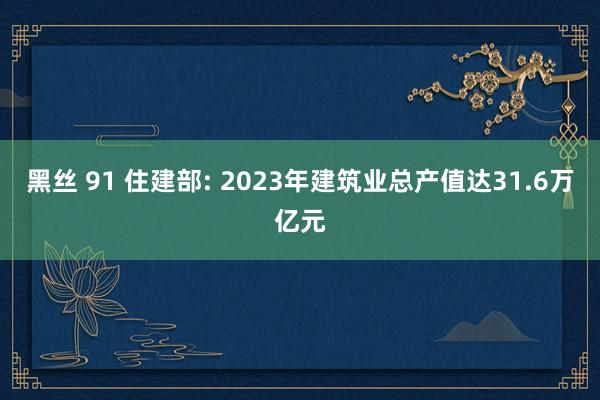 黑丝 91 住建部: 2023年建筑业总产值达31.6万亿元