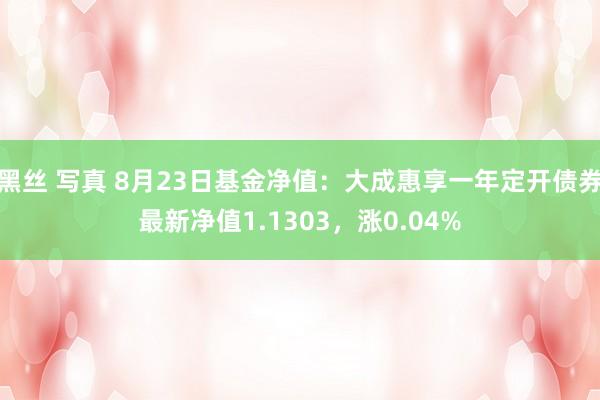 黑丝 写真 8月23日基金净值：大成惠享一年定开债券最新净值1.1303，涨0.04%