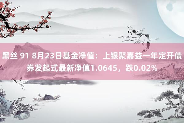 黑丝 91 8月23日基金净值：上银聚嘉益一年定开债券发起式最新净值1.0645，跌0.02%