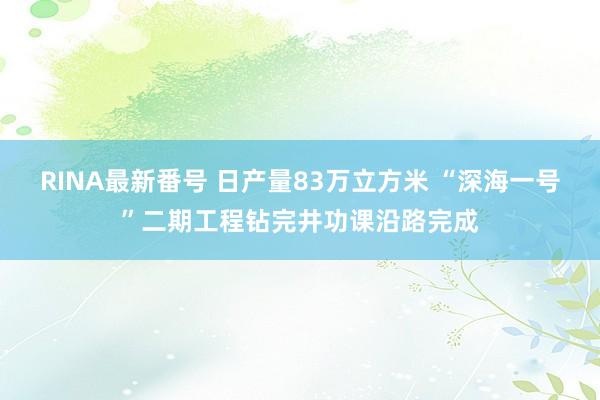 RINA最新番号 日产量83万立方米 “深海一号”二期工程钻完井功课沿路完成