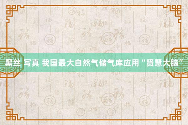 黑丝 写真 我国最大自然气储气库应用“贤慧大脑”