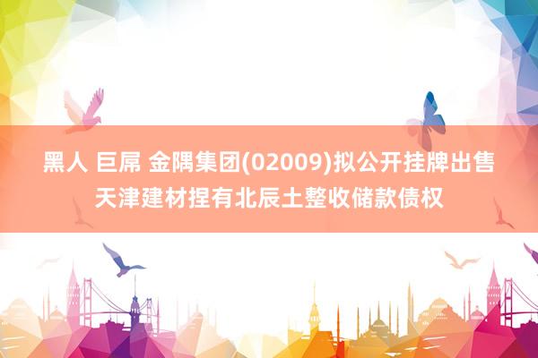 黑人 巨屌 金隅集团(02009)拟公开挂牌出售天津建材捏有北辰土整收储款债权