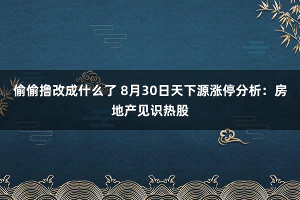 偷偷撸改成什么了 8月30日天下源涨停分析：房地产见识热股