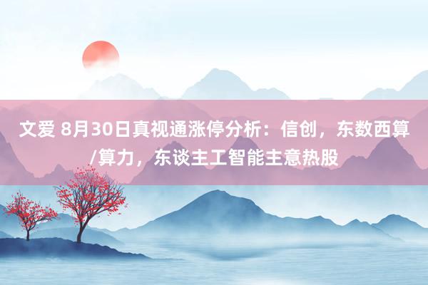 文爱 8月30日真视通涨停分析：信创，东数西算/算力，东谈主工智能主意热股