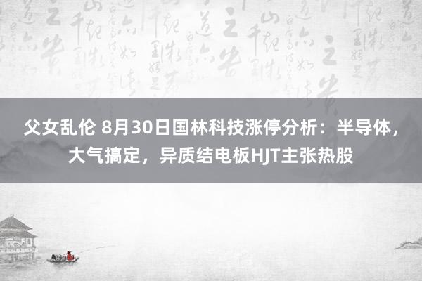 父女乱伦 8月30日国林科技涨停分析：半导体，大气搞定，异质结电板HJT主张热股