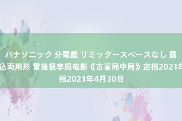 パナソニック 分電盤 リミッタースペースなし 露出・半埋込両用形 雷捷报李现电影《古董局中局》定档2021年4月30日