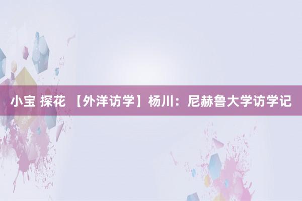 小宝 探花 【外洋访学】杨川：尼赫鲁大学访学记