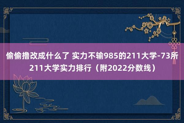 偷偷撸改成什么了 实力不输985的211大学-73所211大学实力排行（附2022分数线）